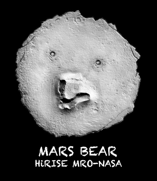 Mars Bear Artwork