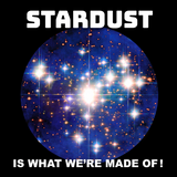 "STARDUST Is What We're Made of! " Tee
