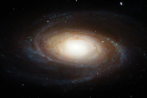 Potaru (M 81)