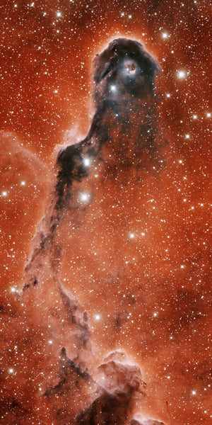 Elephant Trunk Nebula