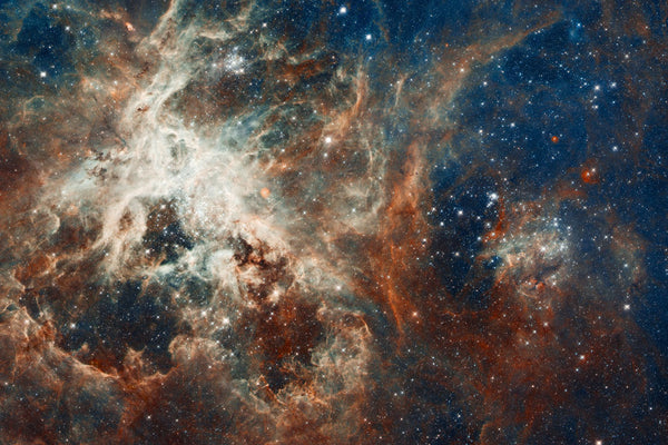 Tarantula III