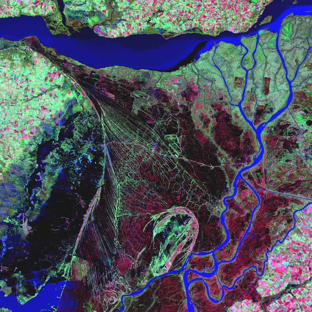 Parana Delta Argentina