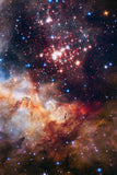 Star Cluster Westerlund III