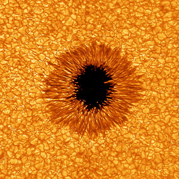 Sun Spot