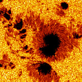 Sun Spots