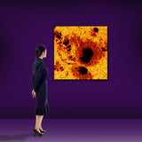 Sun Spots