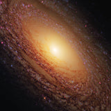 Majestic (NGC 2841)