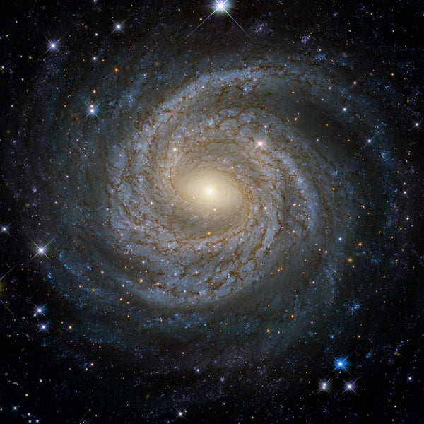 Galaxy Providence (NGC 6814)