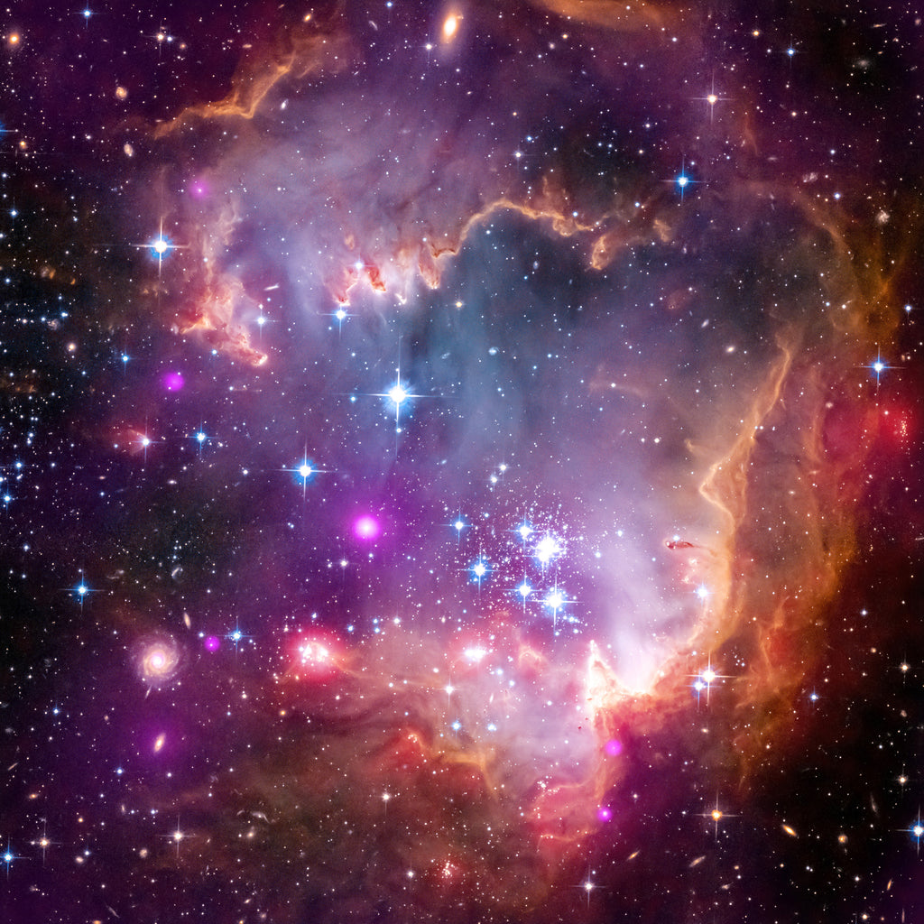 T-Rex (NGC 602)