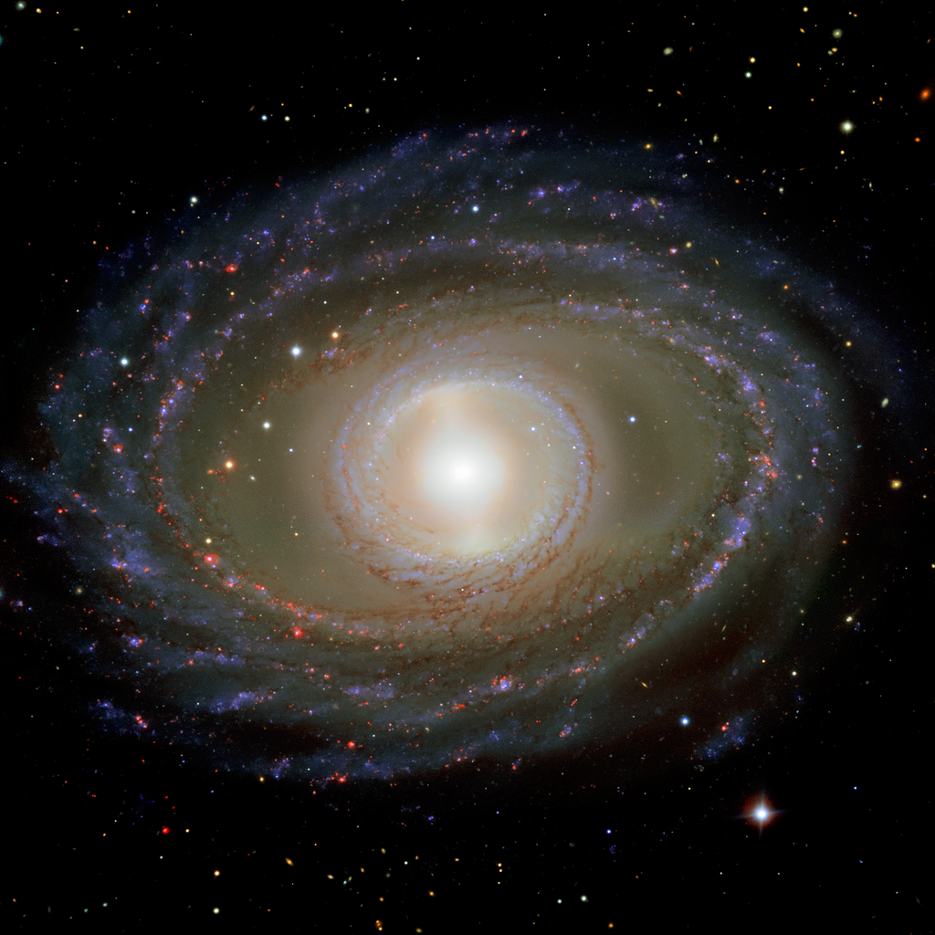 Galaxy Jewels (NGC 1398)