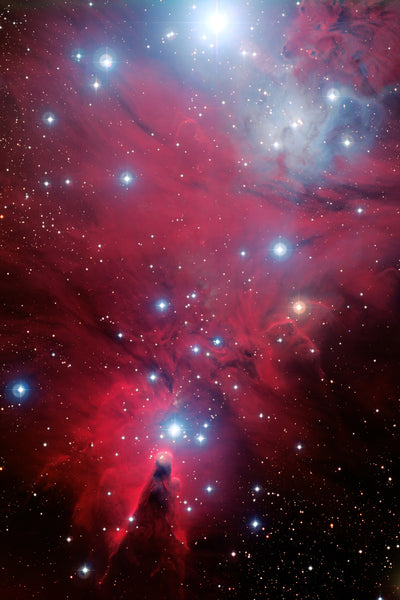 Christmas Tree Nebula