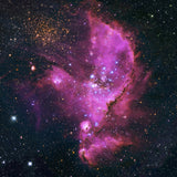 Stingray (NGC 346)