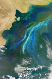 Patagonia Phytoplankton Bloom