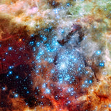 Star Cluster Doradus