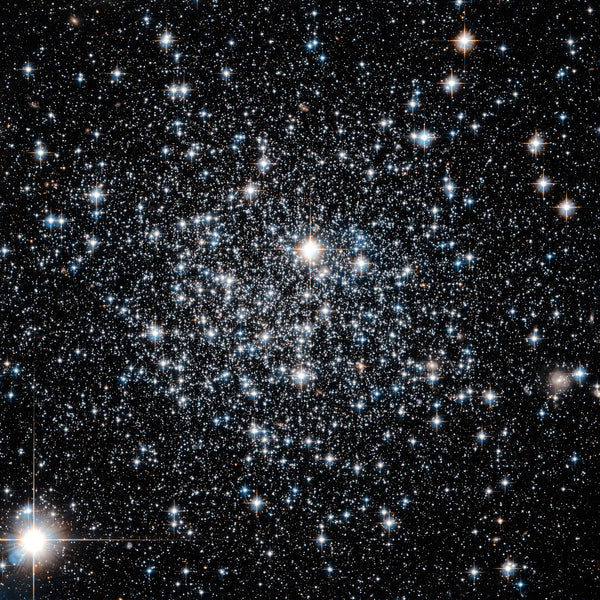 Star Cluster Firefly