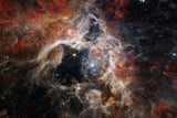 Nebula Tarantula I - JWST
